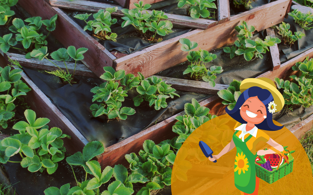 Stage Permaculture Design Niveau 2