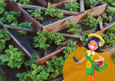 Stage Permaculture Design Niveau 2