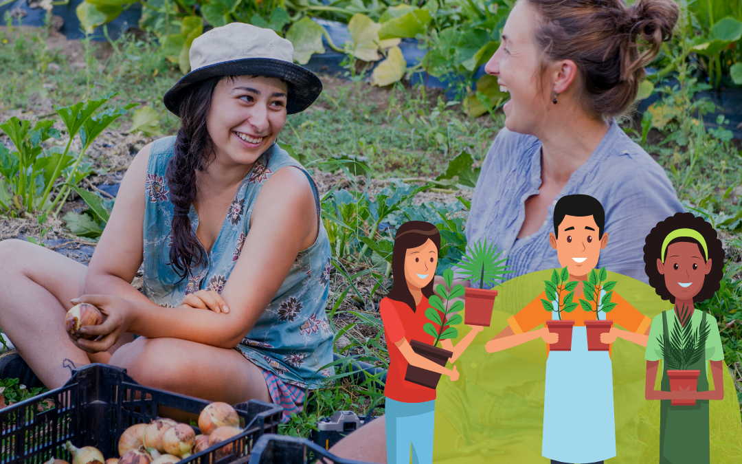 Stage Permaculture Design Niveau 1