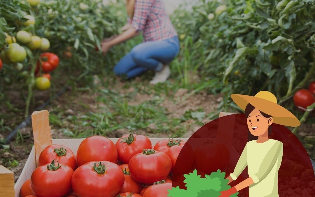 Weekend découverte & initiation