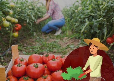 Weekend découverte & initiation