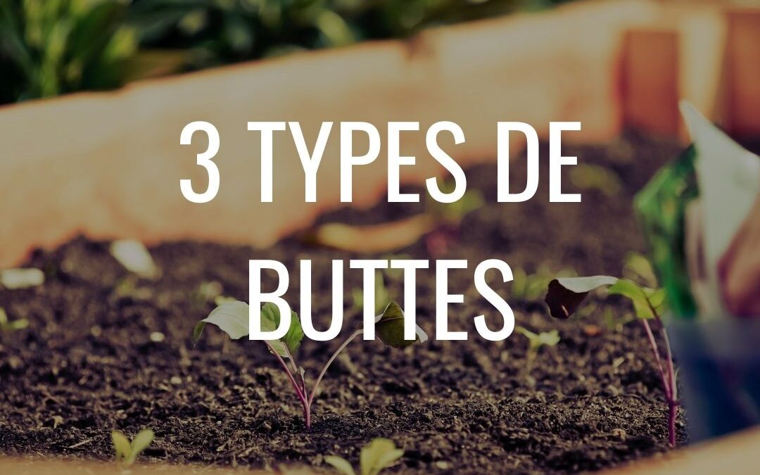 Les 3 types de buttes en permaculture