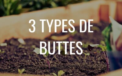 Les 3 types de buttes en permaculture