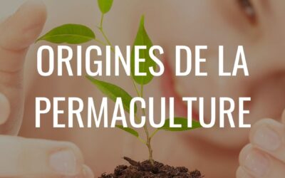 Les origines de la Permaculture