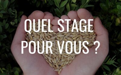 Quel stage vous convient ? 10 questions