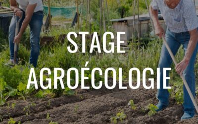 Nouveau Stage cet été : Agroécologie